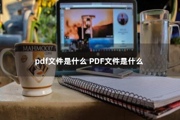 pdf文件是什么(PDF文件是什么)